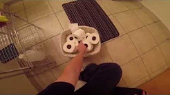 tp